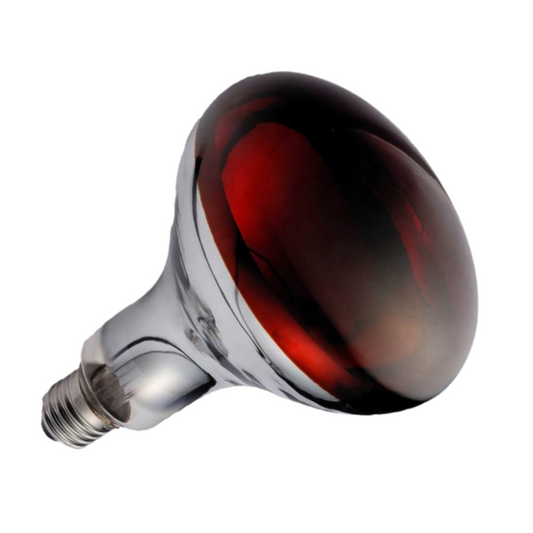 Orvarto Infrared, Hard Glass Infra-Red Bulb. 250 Watt, Ruby Red